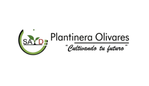 Logo Olivares