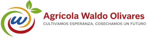 agricolaolivares.cl